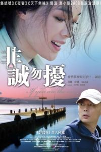 If You Are the One (Fei cheng wu rao) (2008)