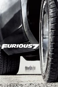 Furious 7 (Furious Seven) (2015)